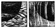 SYN4-26.jpg